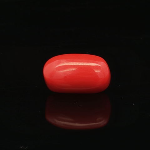 Red Coral - 6.85 Carat