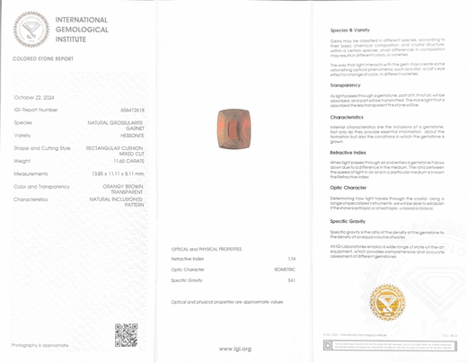 Hessonite (Gomed) - 11.65 Carat (Ceylon) (IGI Certified)