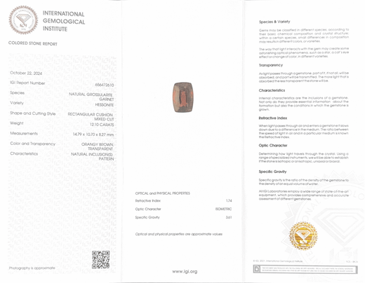 Hessonite (Gomed) - 12.10 Carat (Ceylon) (IGI Certified)