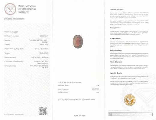 Hessonite (Gomed) - 9.96 Carat (Ceylon) (IGI Certified)