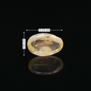 Yellow Sapphire (Pukhraj Stone) - 5.13 Carat