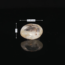 Yellow Sapphire (Pukhraj Stone) - 3.50 Carat