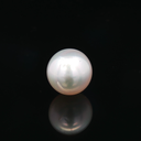 South Sea Pearl - 7.O3 Carat