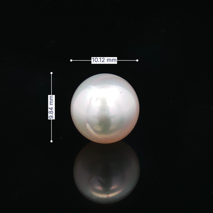 South Sea Pearl - 7.O3 Carat
