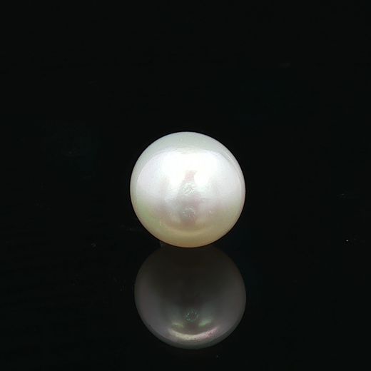 South Sea Pearl (Moti) - 6.47 Carat