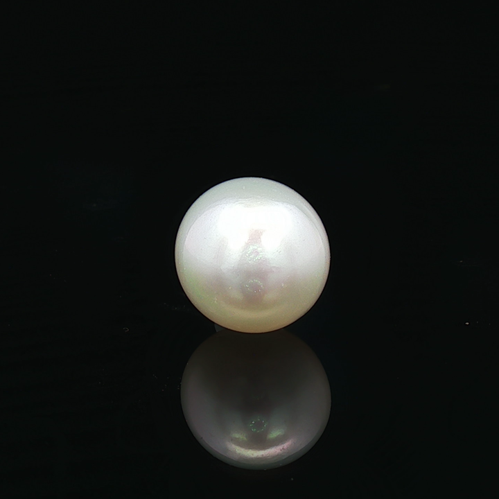 South Sea Pearl (Moti) - 6.47 Carat