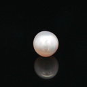 South Sea Pearl (Moti) - 5.55 Carat