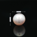 South Sea Pearl (Moti) - 7.56 Carat