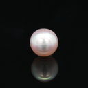 South Sea Pearl (Moti) - 6.81 Carat