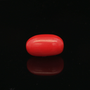 Red Coral - 4.99 Carat