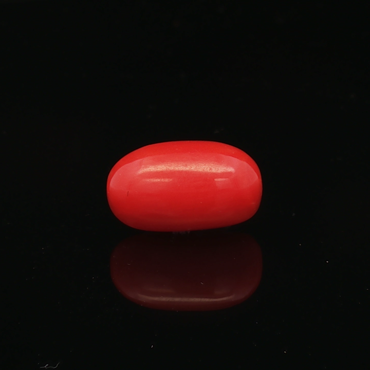 Red Coral - 4.99 Carat