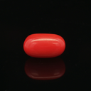 Red Coral - 6.33 Carat