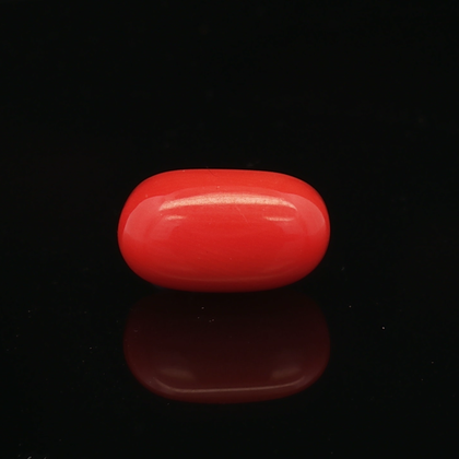 Red Coral - 6.33 Carat