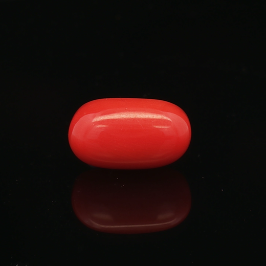 Red Coral - 6.33 Carat