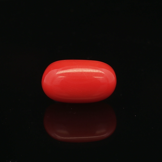 Red Coral - 6.33 Carat