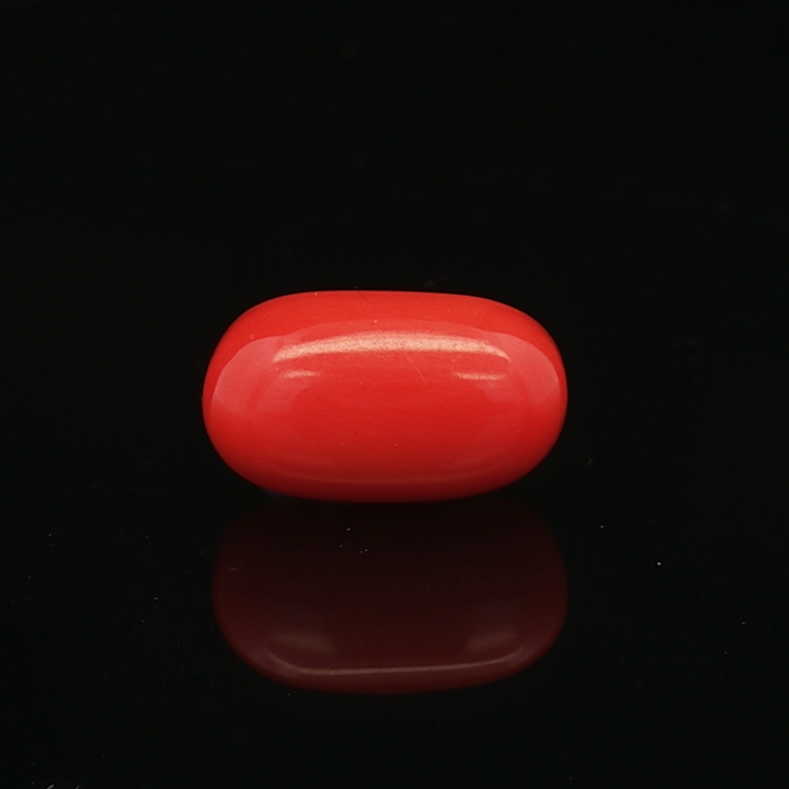 Red Coral - 6.33 Carat