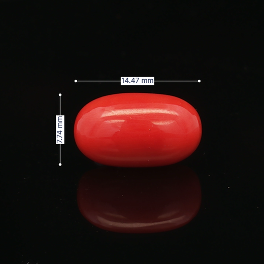Red Coral - 7.20 Carat