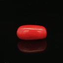 Red Coral -5.22 Carat
