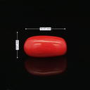 Red Coral -5.22 Carat