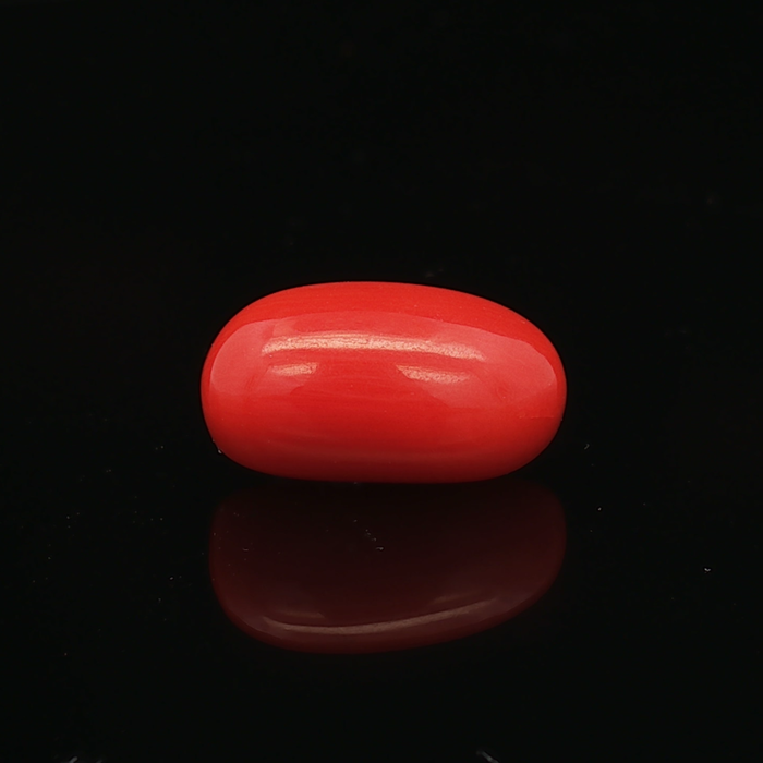 Red Coral - 6.40 Carat
