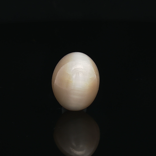 Cat’s Eye - 5.69 Carats