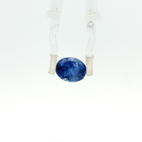 Blue Sapphire - 5.73 Carat