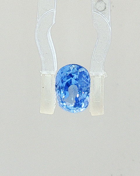 Blue Sapphire - 1.83 Carat