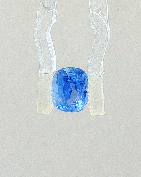 Blue Sapphire - 1.63 Carat