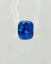 Blue Sapphire - 3.07 Carat