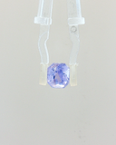 Blue Sapphire - 3.10 Carat