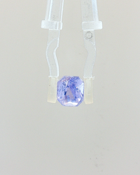 Blue Sapphire - 3.10 Carat