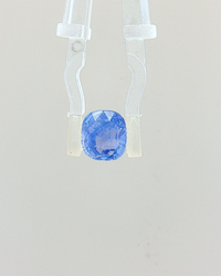 Blue Sapphire - 3.14 Carat