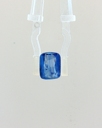 Blue Sapphire (Neelam) - 3.07 Carat (IGI Certified)