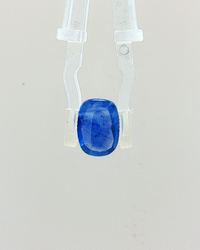 Blue Sapphire (Neelam) - 3.06 Carat (IGI Certified)