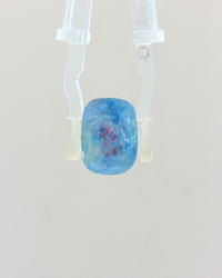 Blue Sapphire (Khooni Neelam) - 6.89 Carat