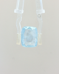 Blue Sapphire (Jal Neelam) - 7.92 Carat (Certified)