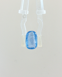 Blue Sapphire (Neelam) - 3.01 Carat (Certified)