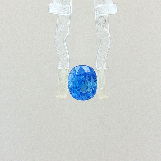 Cornflower Blue Sapphire (Neelam) - 3.02 Carat (Certified)