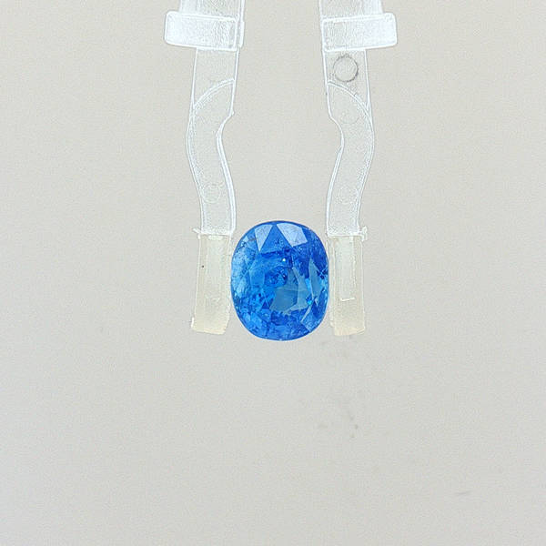 Cornflower Blue Sapphire (Neelam) - 3.02 Carat (Certified)