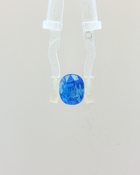 Cornflower Blue Sapphire (Neelam) - 3.02 Carat (Certified)