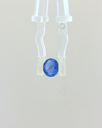 Blue Sapphire (Neelam) - 1.01 Carat (Certified)