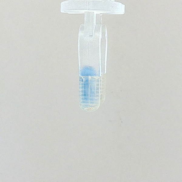 Blue Sapphire (Neelam) - 2.55 Carat