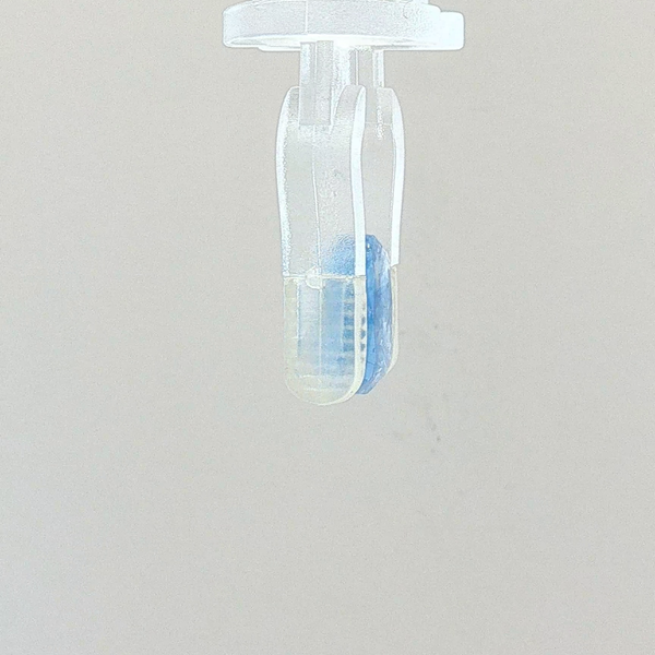Blue Sapphire (Neelam) - 2.55 Carat