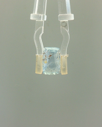 Blue Sapphire (Neelam) - 2.41 Carat (Certified)