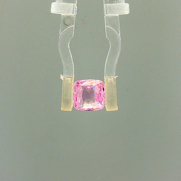 Pink Sapphire (Khooni Neelam)  – 1.56 Carat Certified