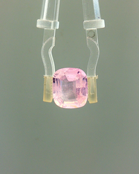 Pink Sapphire (Khooni Neelam)  – 4.01 Carat Certified