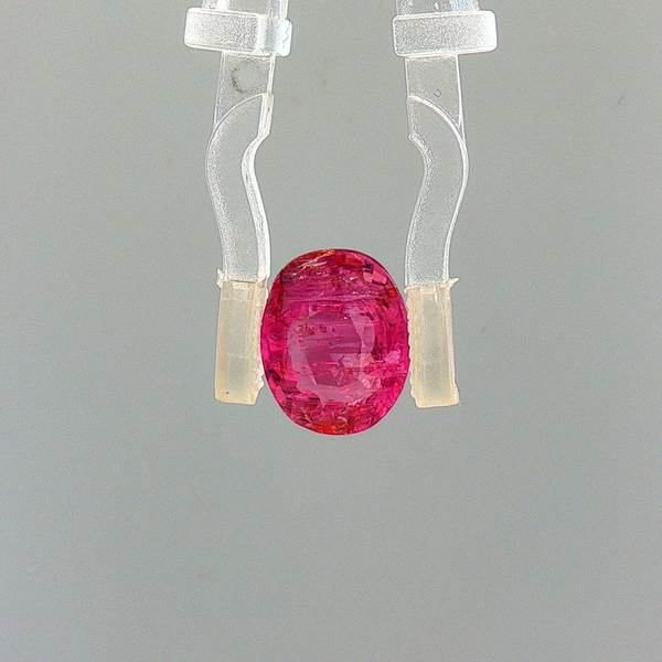 Pink Sapphire (Khooni Neelam)  – 3.08 Carat Certified