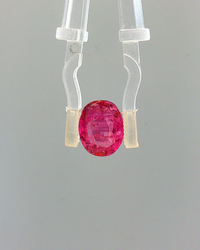 Pink Sapphire (Khooni Neelam)  – 3.08 Carat Certified