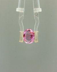 Pink Sapphire (Khooni Neelam)  – 2.63 Carat Certified