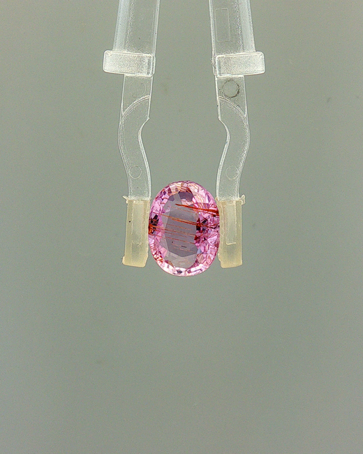 Pink Sapphire (Khooni Neelam)  – 2.63 Carat Certified